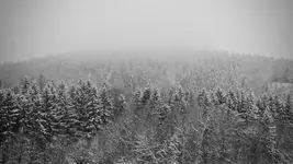 Cisza zimowego poranka