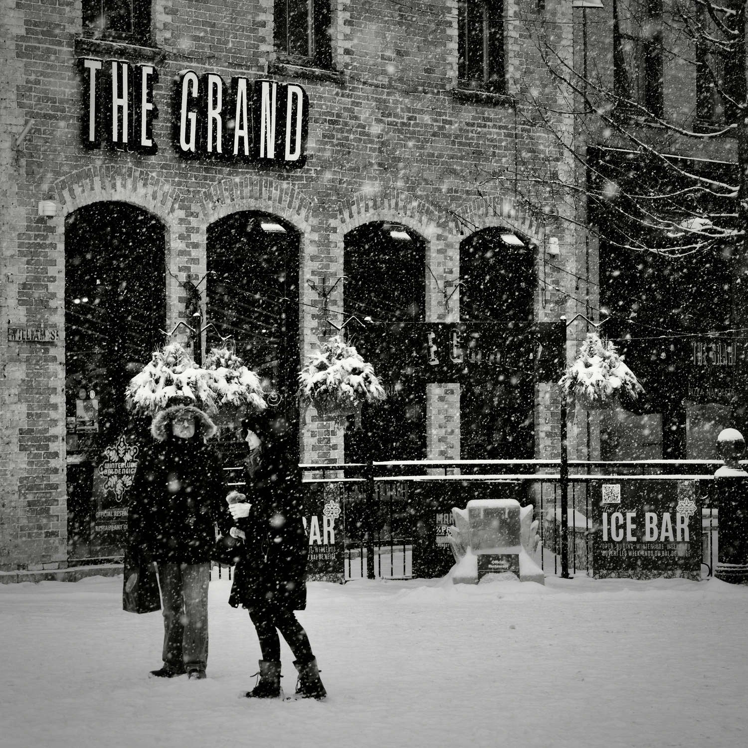 The Grand Winter Scene