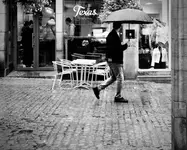Umbrella Verse of Grey
