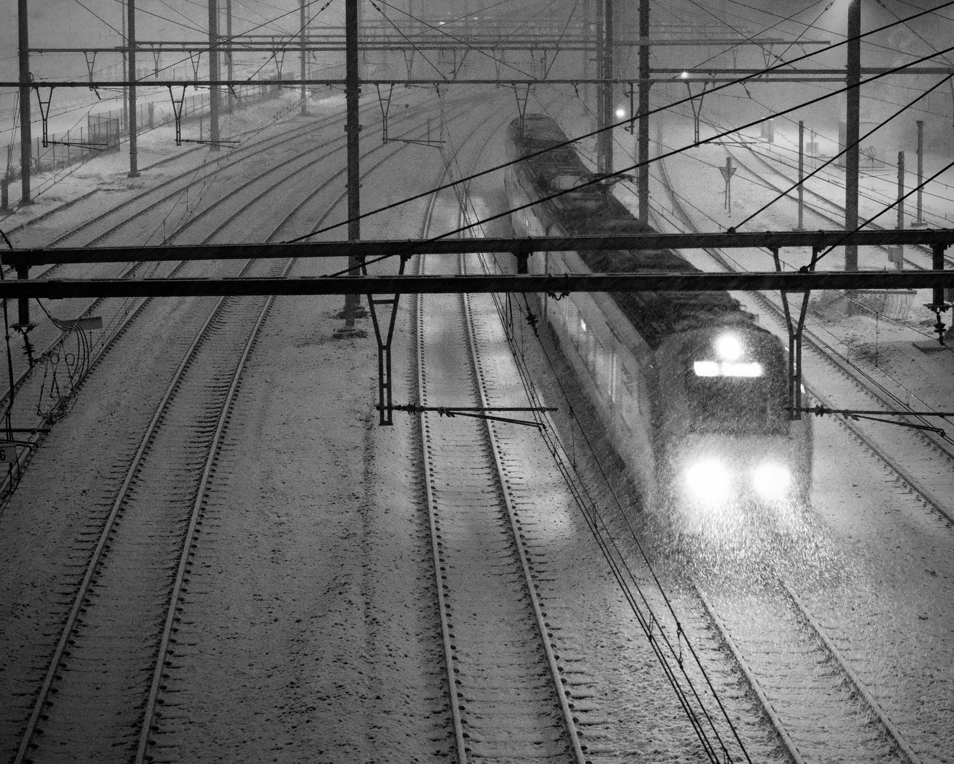 nocny / śnieżny...