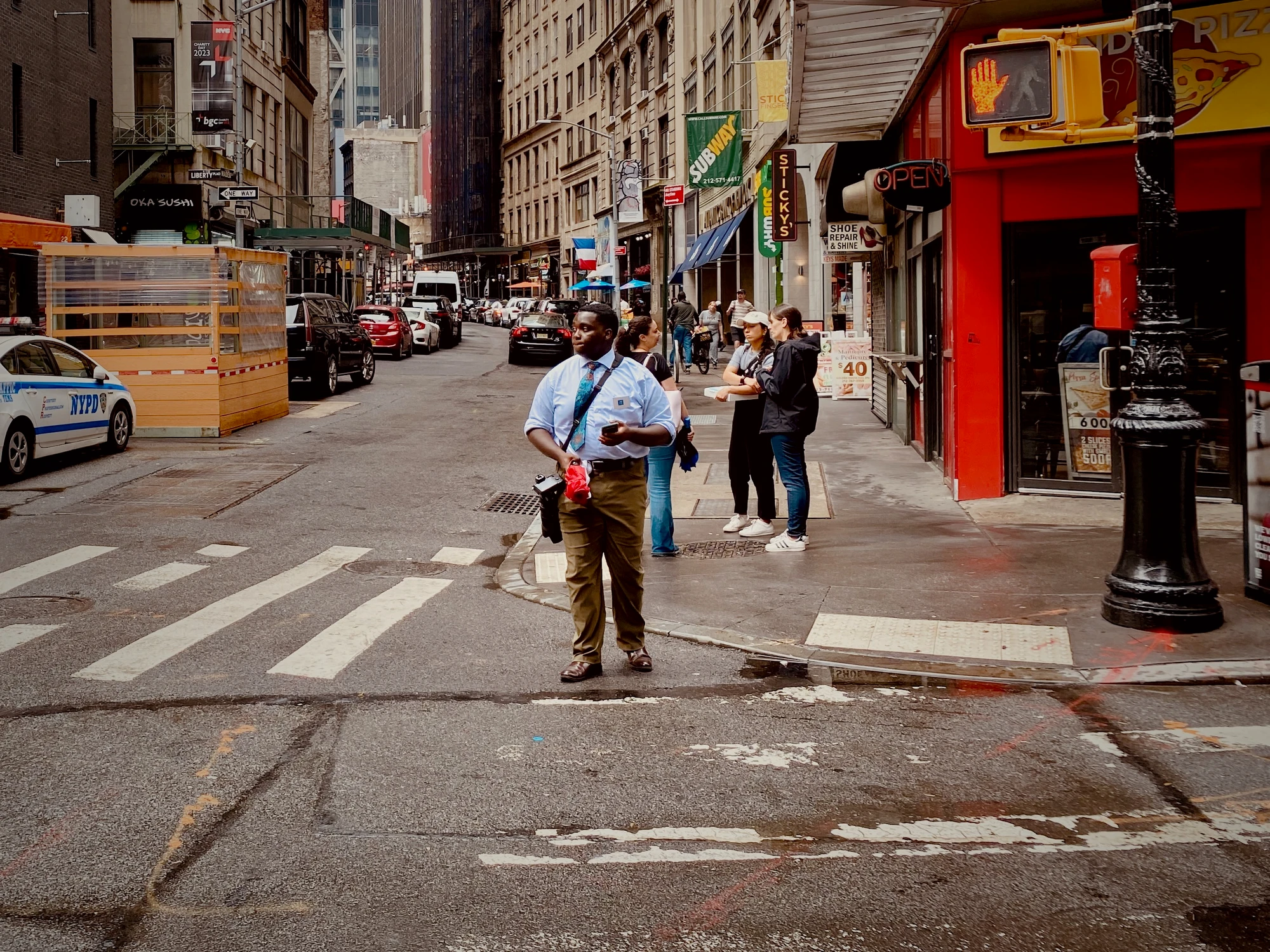 NY Pedestrian