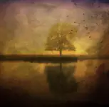 The Lost Morning