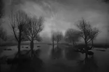 The Lost Morning