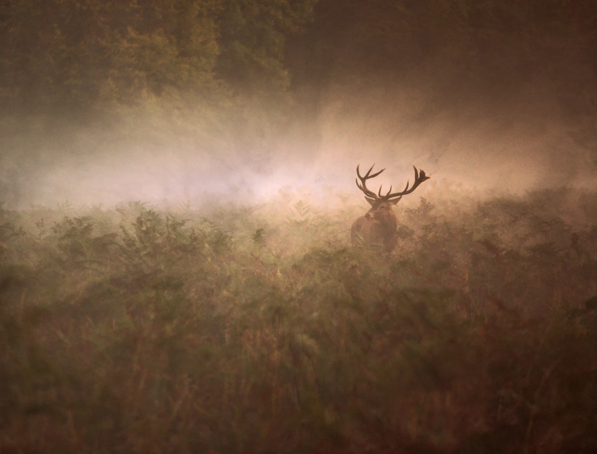 On