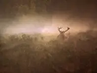 On
