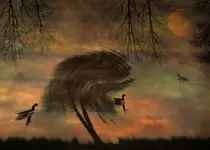 Somesuch Stories