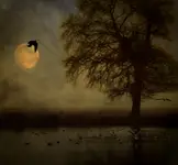 Last Day of Darkness