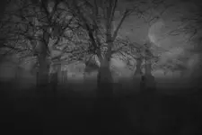 Into the Trees...