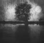 The Lost Morning