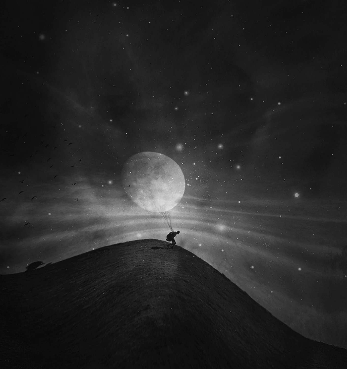 Someone Stole the Moon