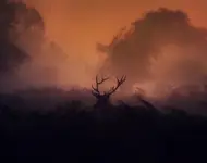 September