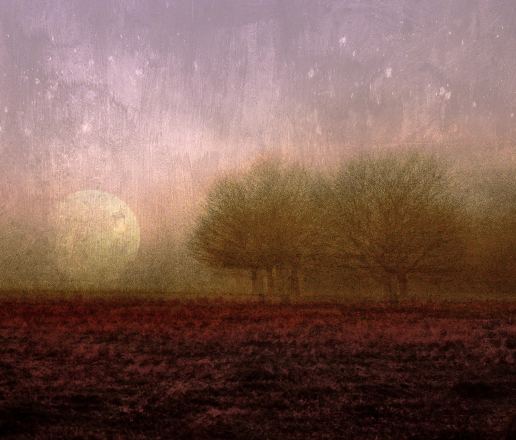The Lost Morning
