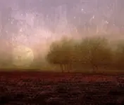 The Lost Morning