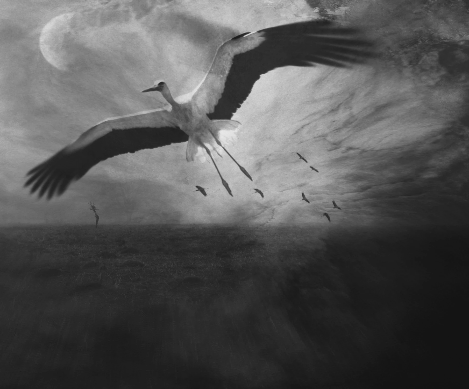 Fly Away