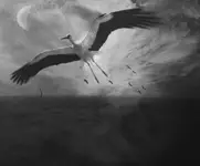 Fly Away