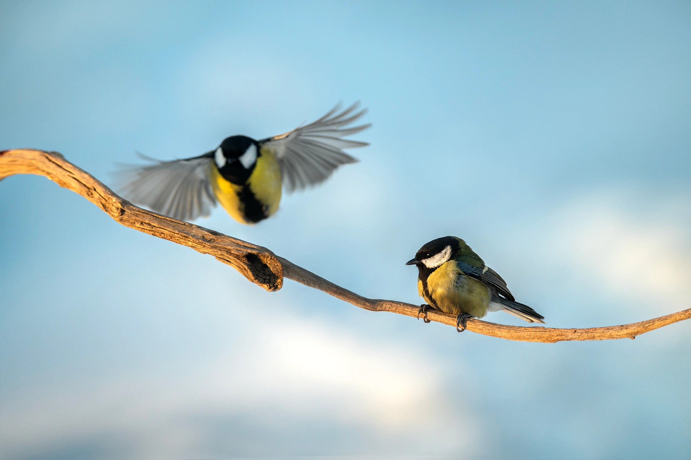 W pół drogi do siebie