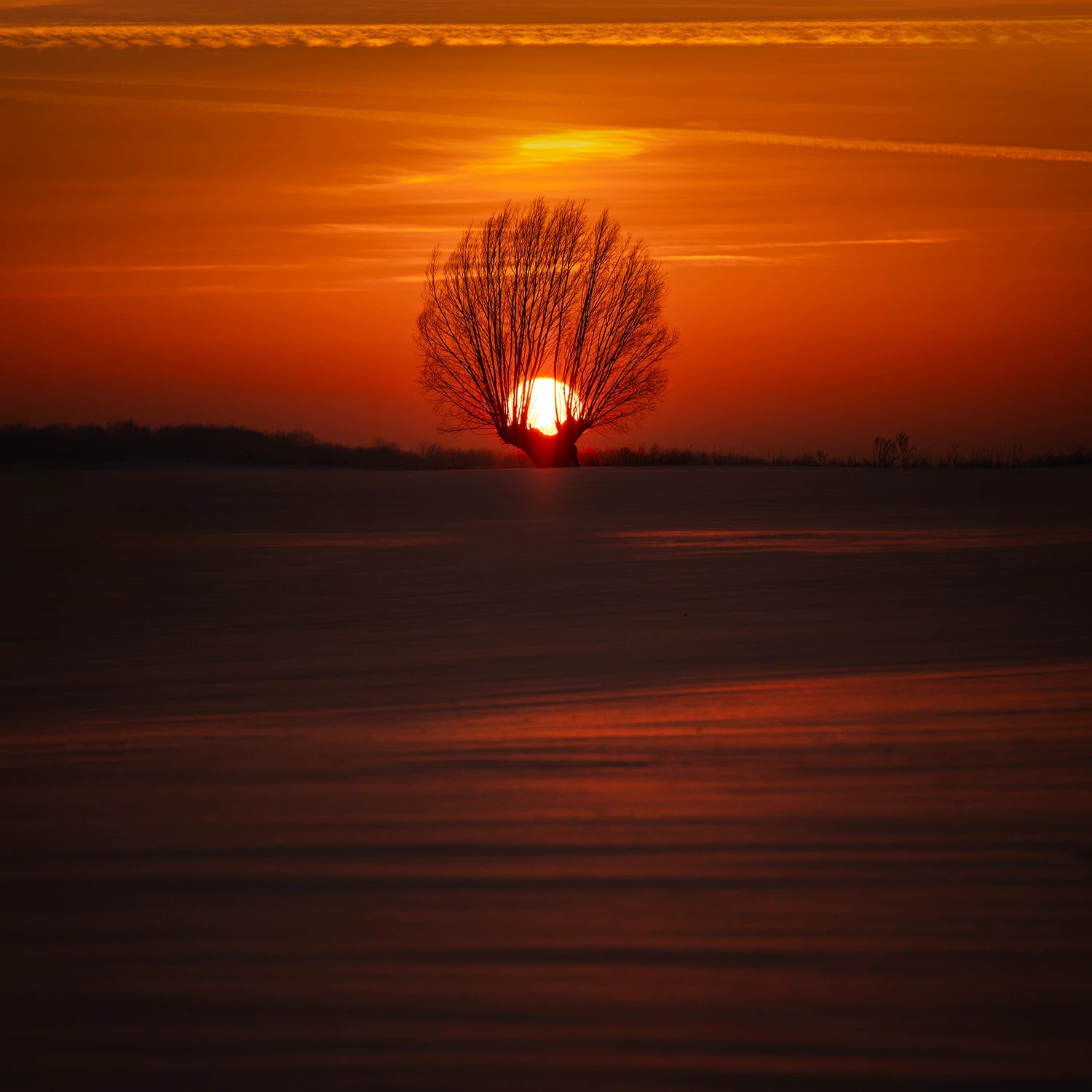 Serce dnia w objęciach nocy