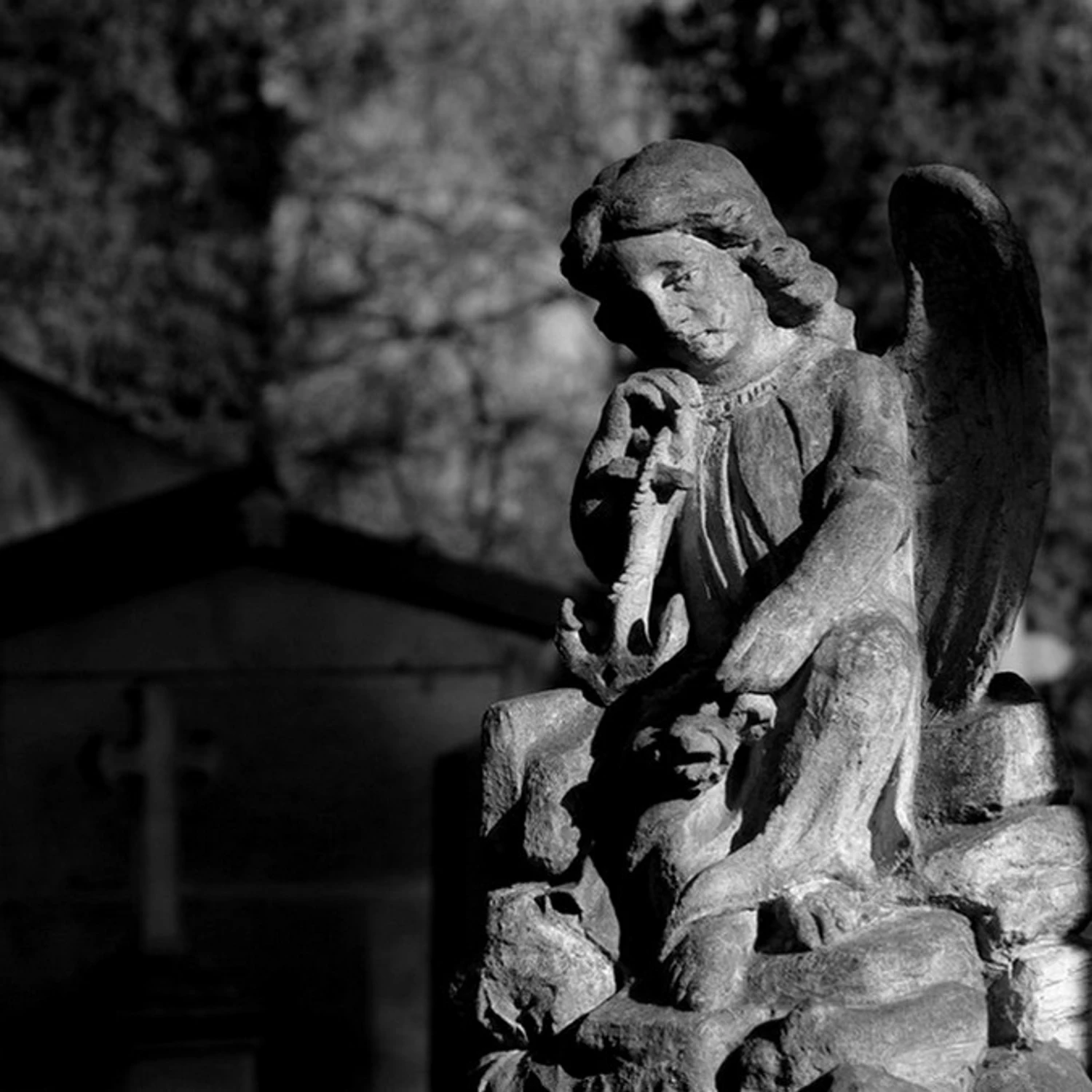 470204437_541692565686398_4568359868630574350_n