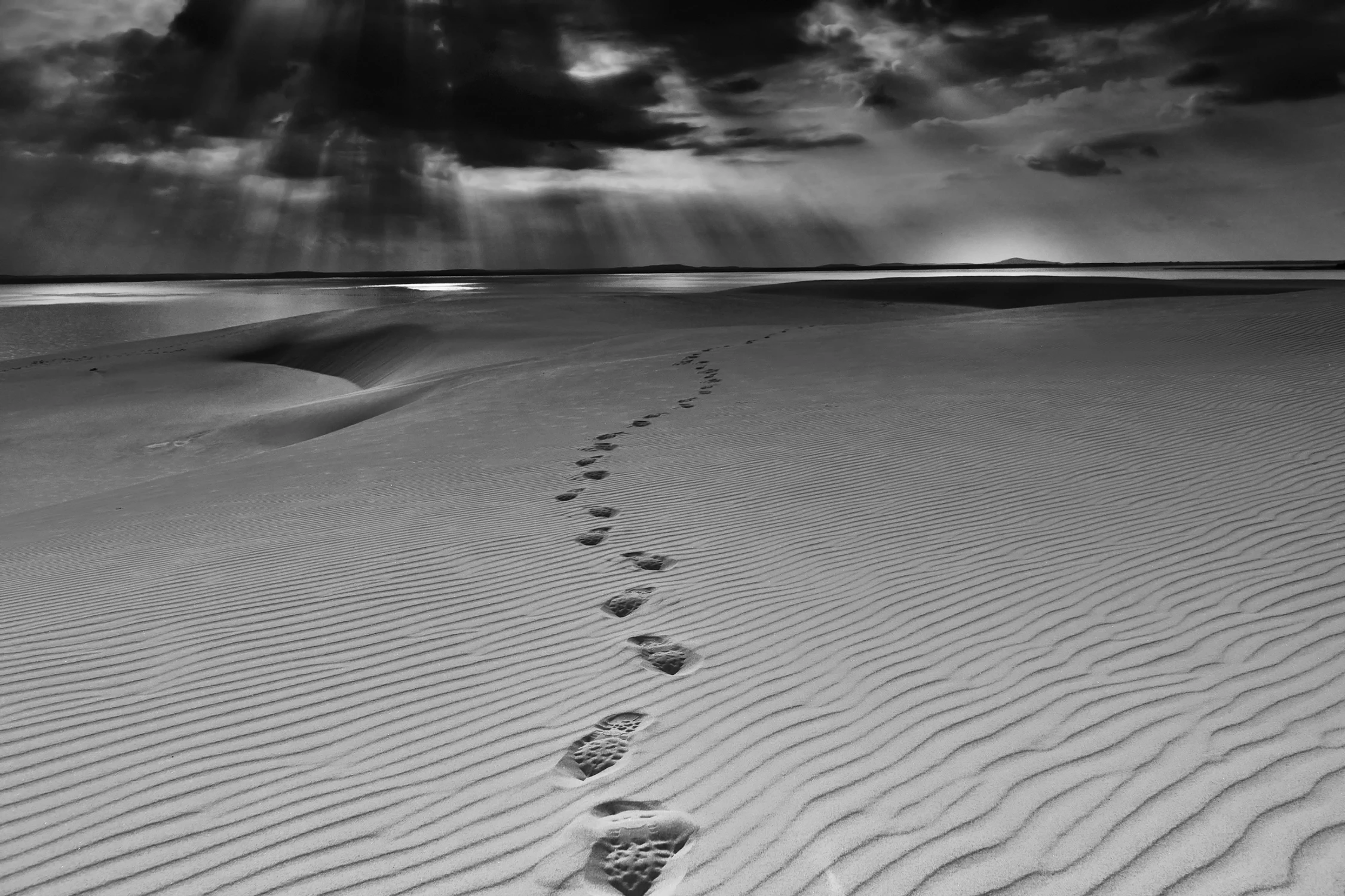 Z wędrówki po wydmach