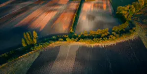 Wielkopolska