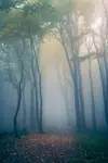 Światy równoległe