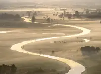 ***