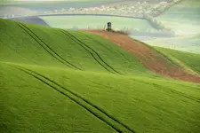 Kraina łagodności ... 