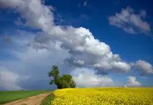 kolorowe popołudnie...