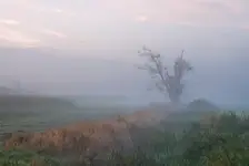 mglistym rankiem...