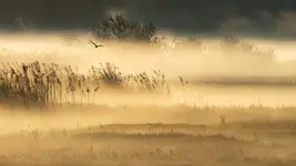 Chwila z życia rozlewiska