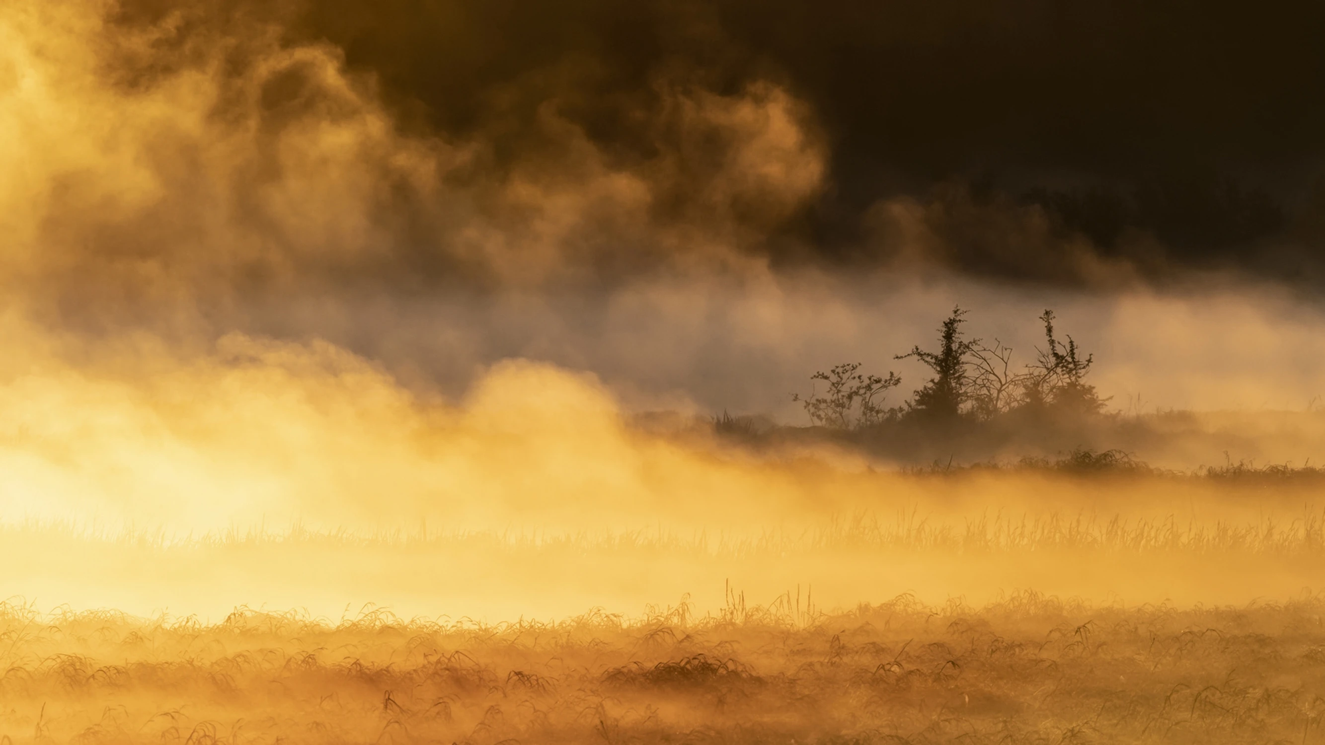 Świt w dolinie mgieł