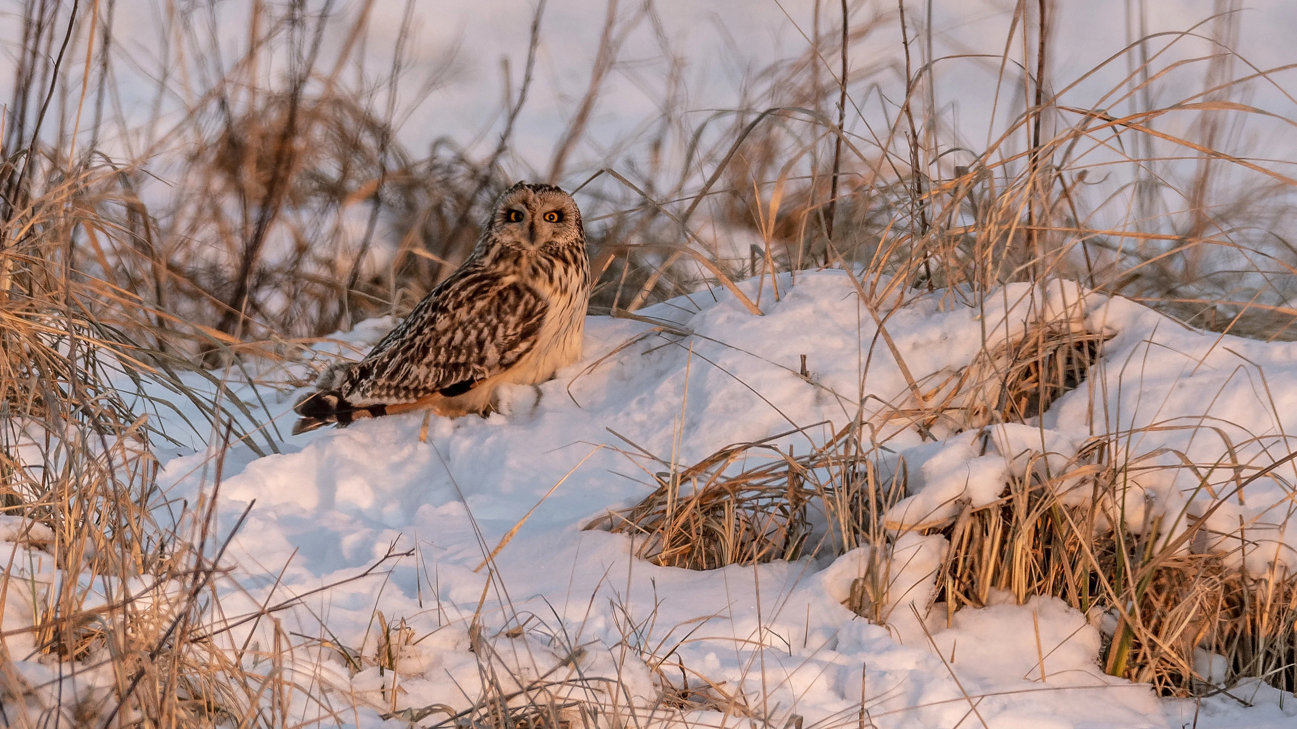 Spotkanie o zachodzie