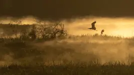 Świt w dolinie mroku...2