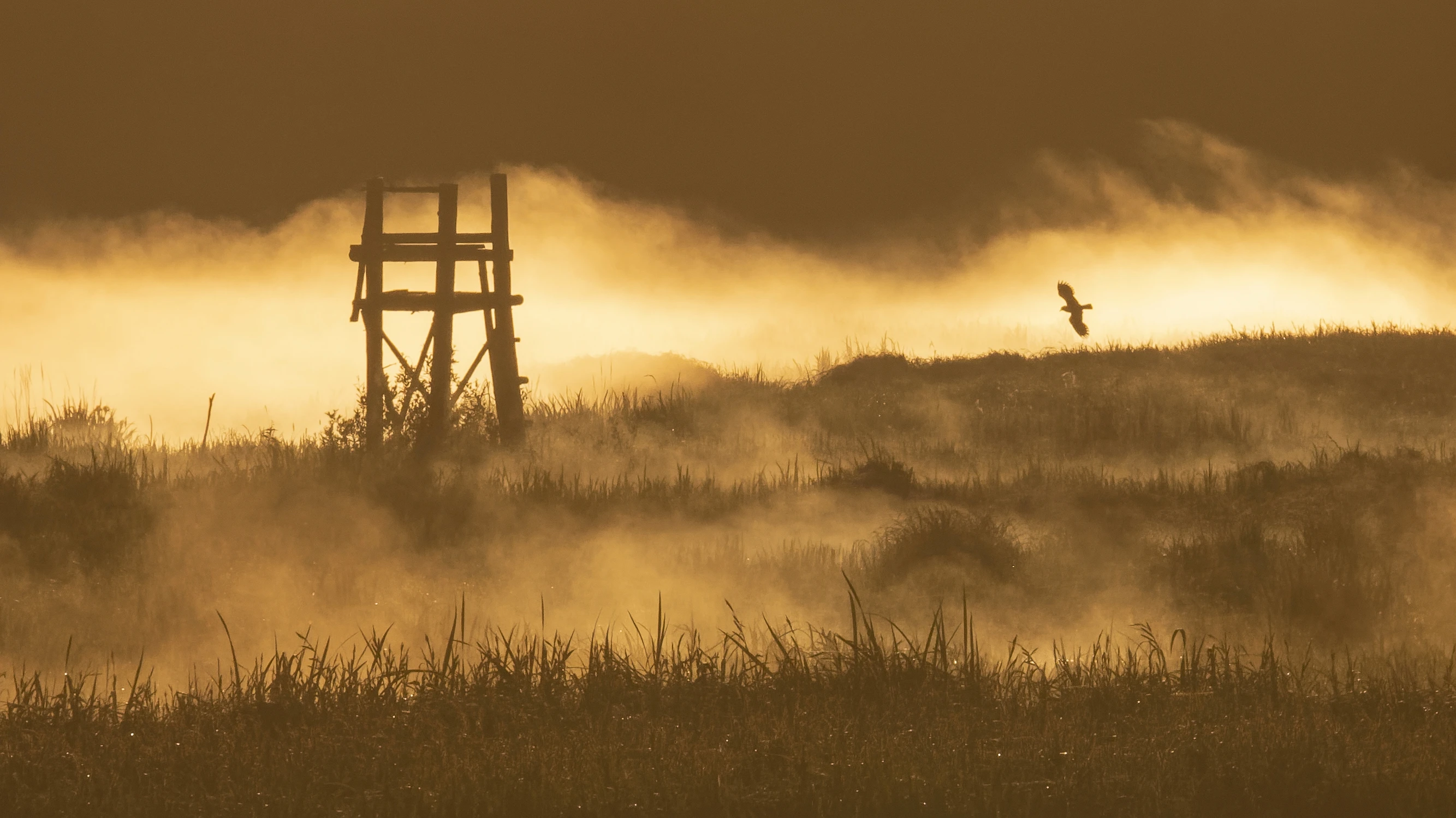 Świt w krainie mroku