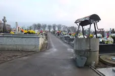 DSCF6473