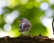 Pocałuj mnie