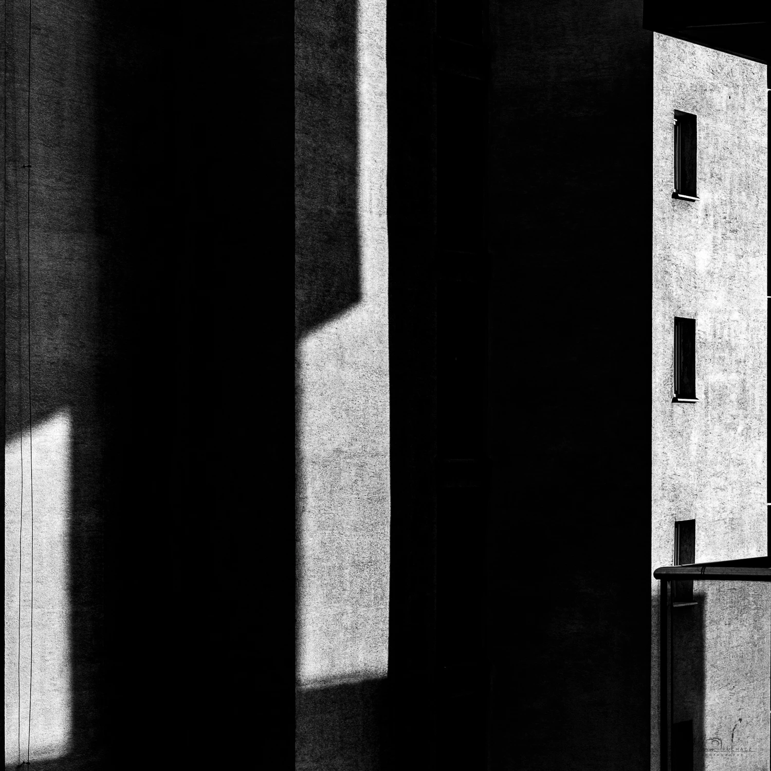 _DSF3969-2