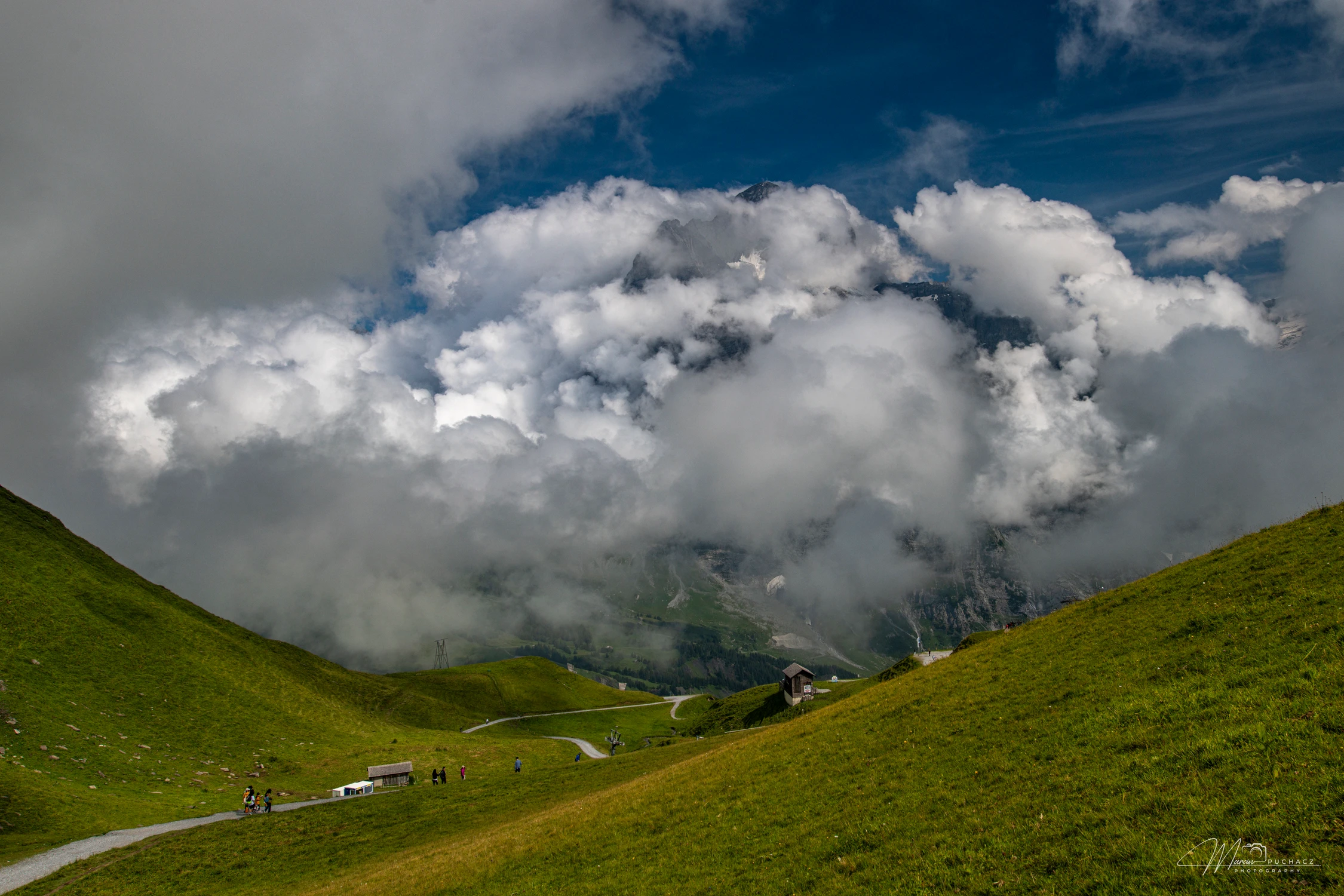 _DSC1253