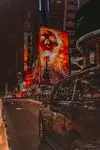 _DSC8764