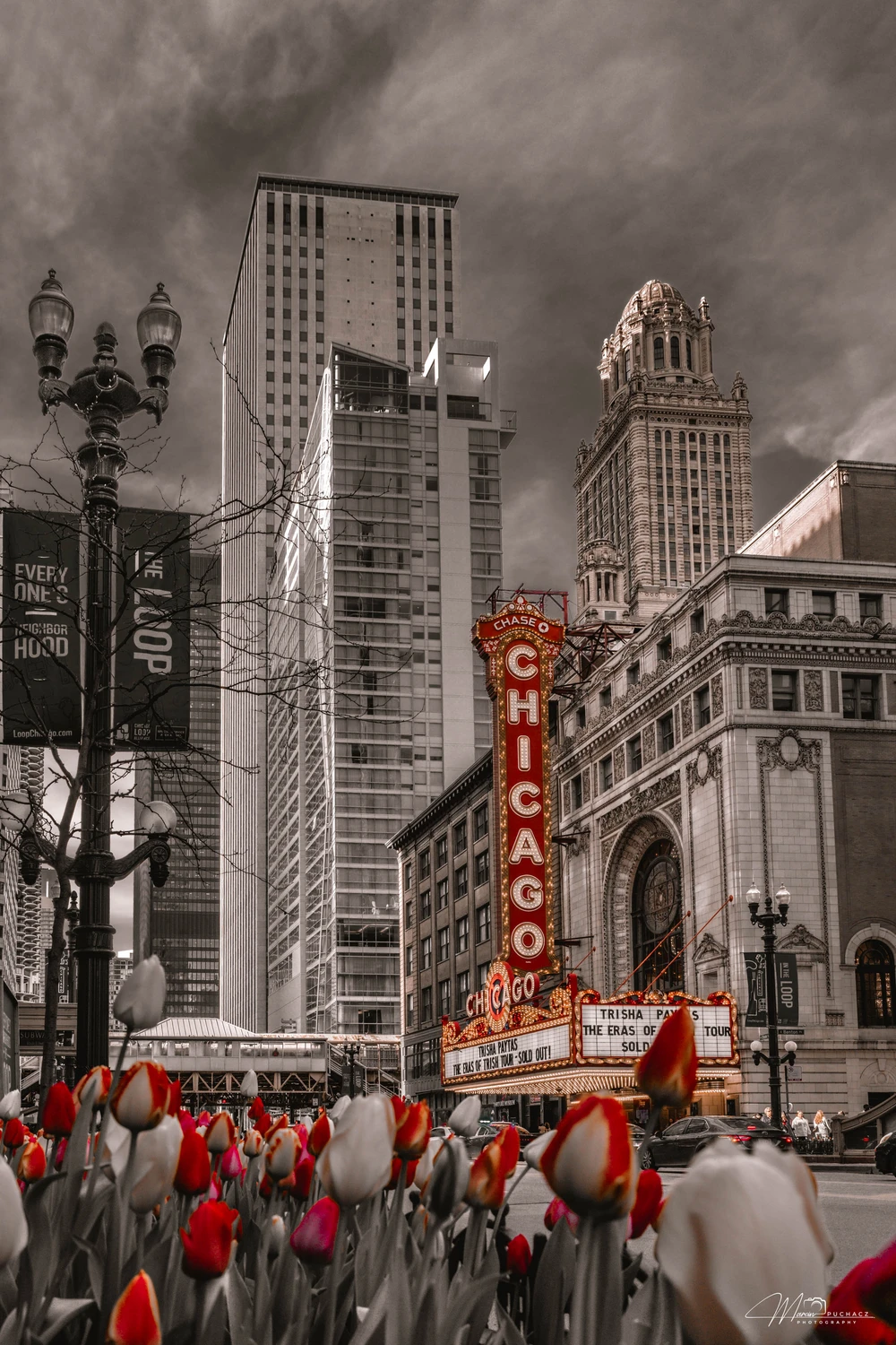 _DSC4278