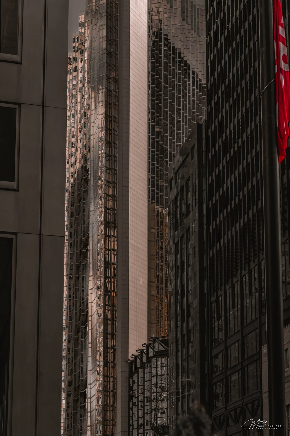 _DSC3312