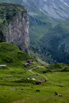 _DSC0391