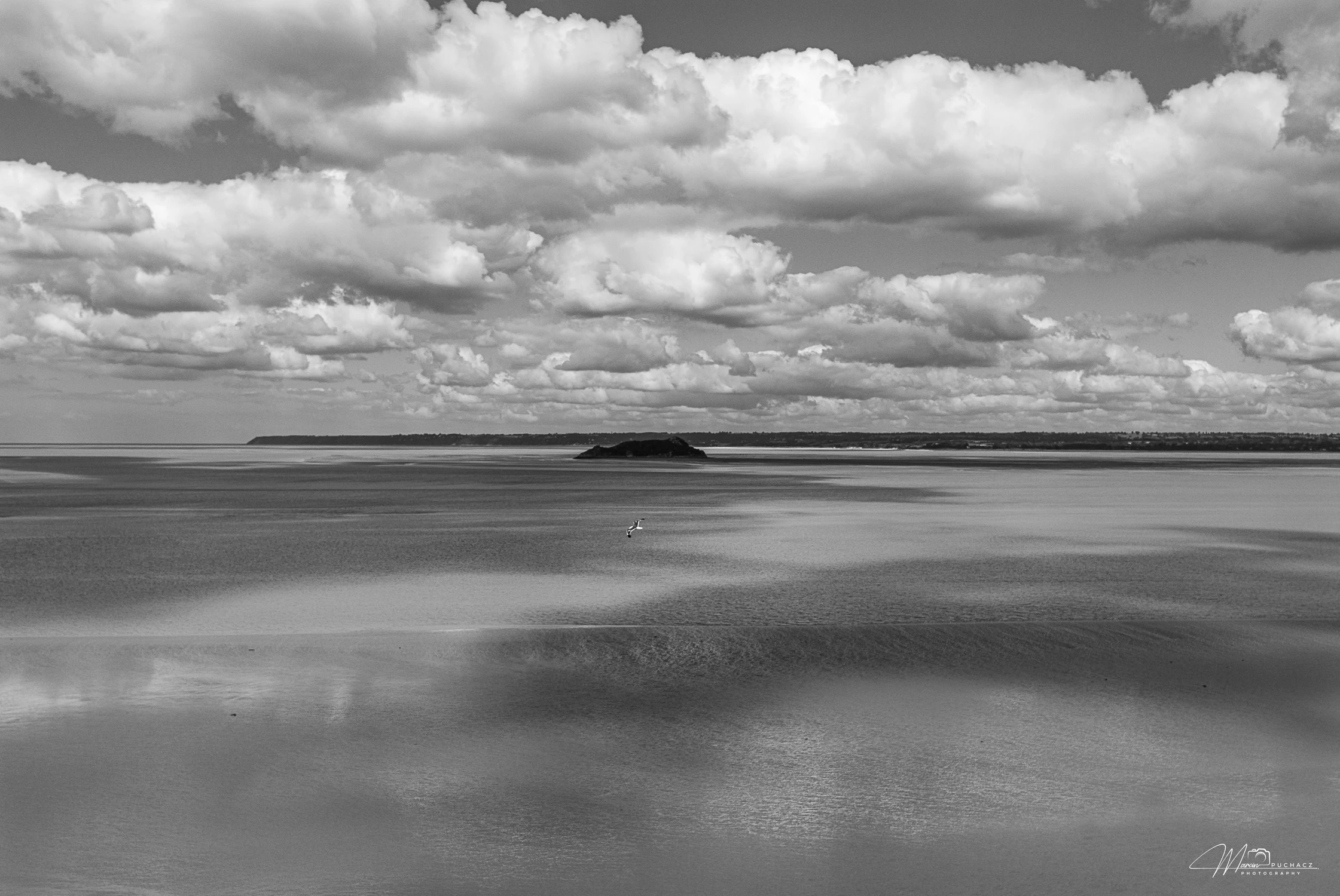 DSC_0032