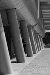 _DSC0704