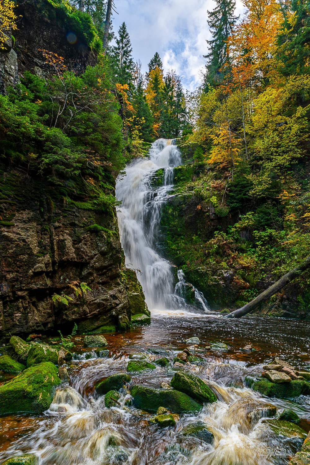 _DSC4180