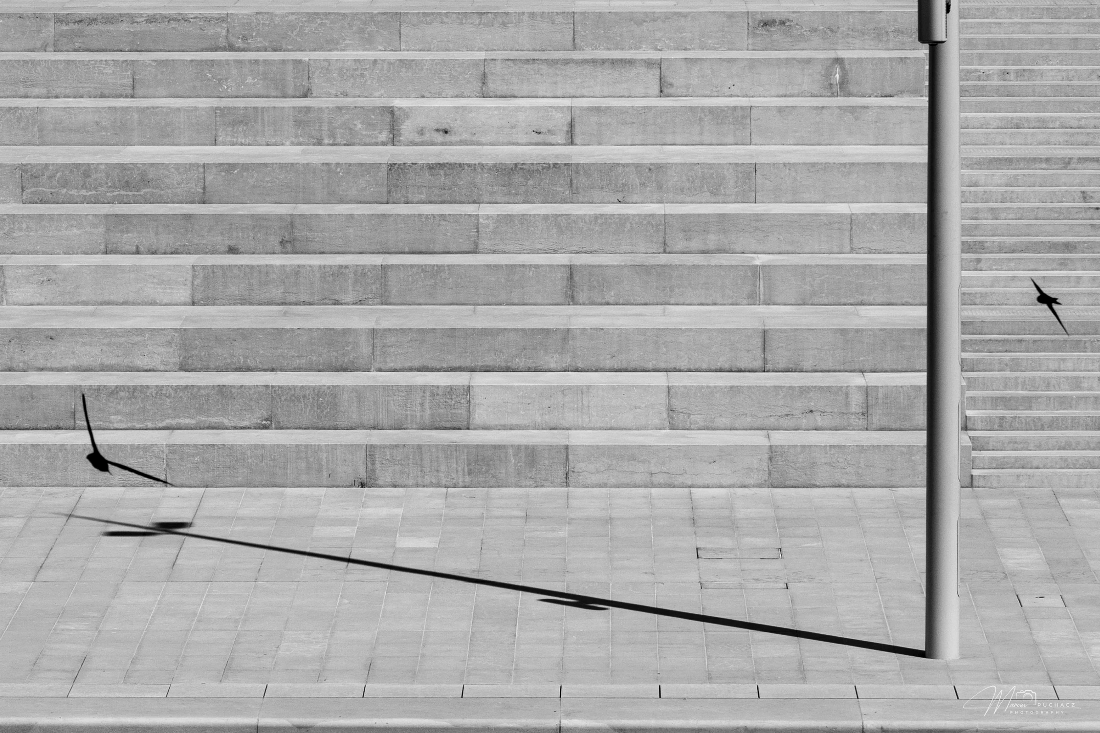 _DSC0716