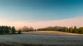 Poranek na polu
