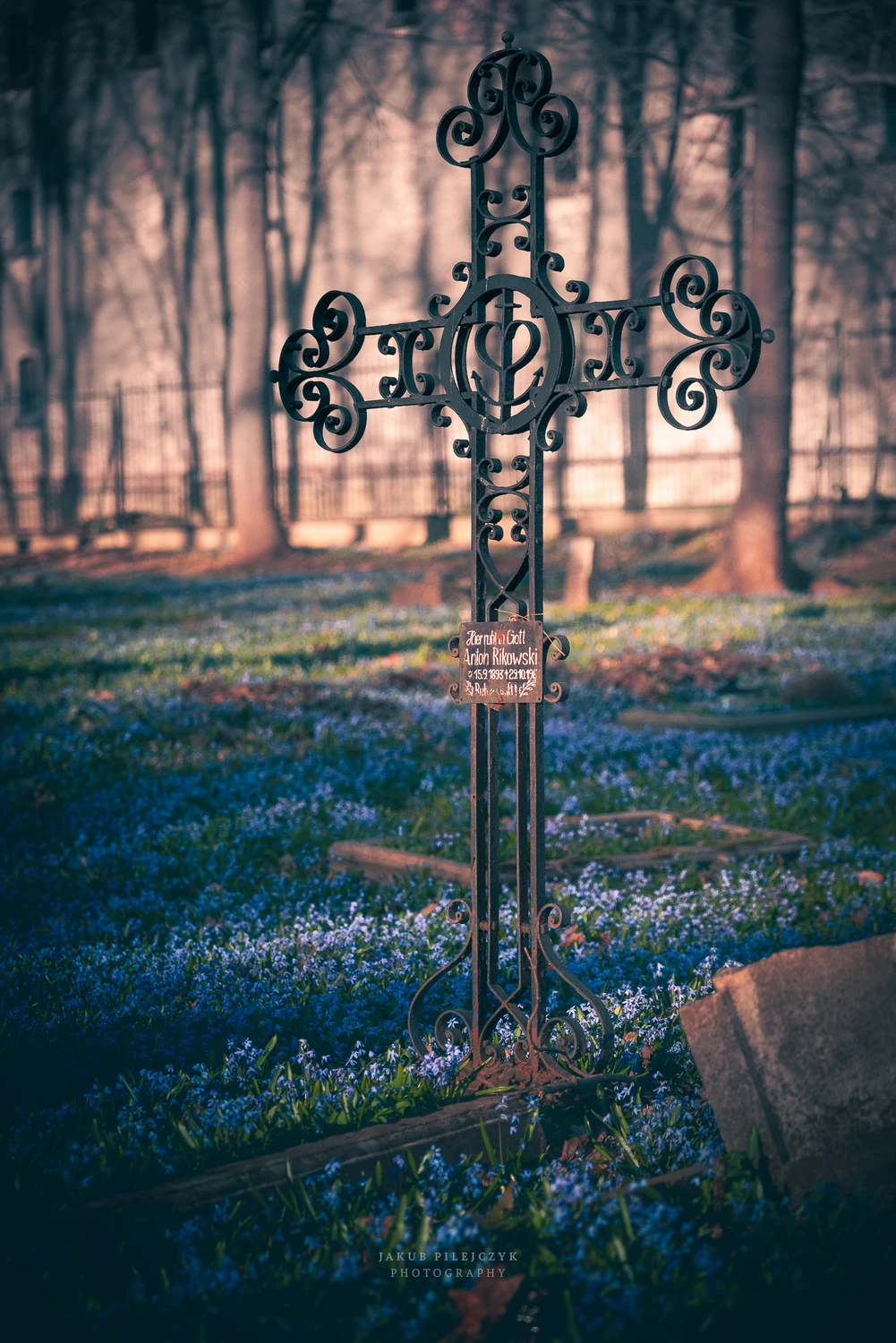 Cmentarz 2