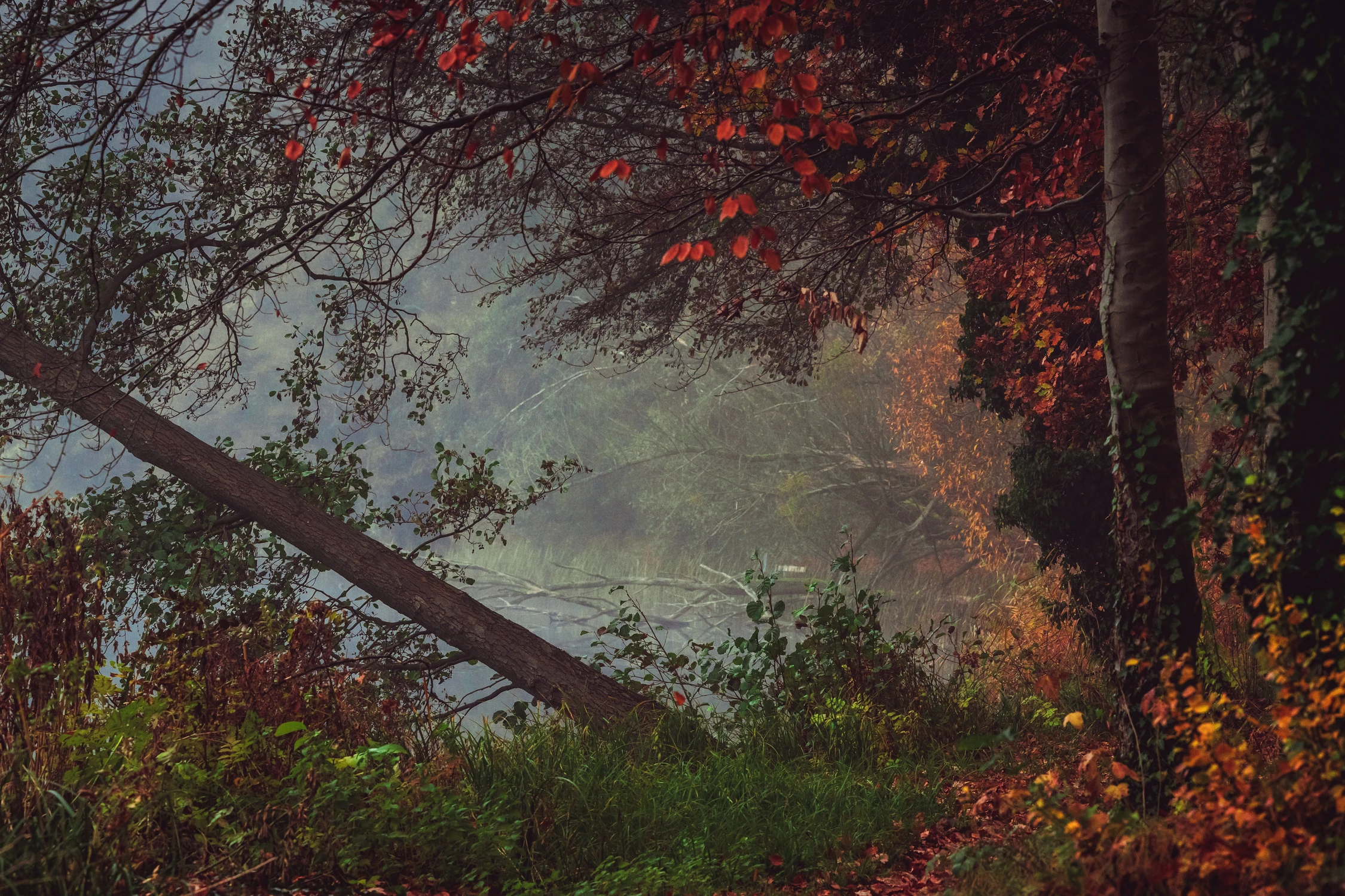 Jesień nad jeziorem