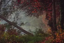 Jesień nad jeziorem